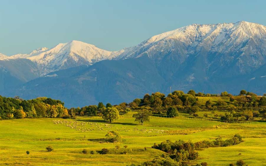 Pajiști și creste la sud de Sibiu